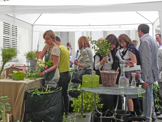 stacanovisti-dei-fiori