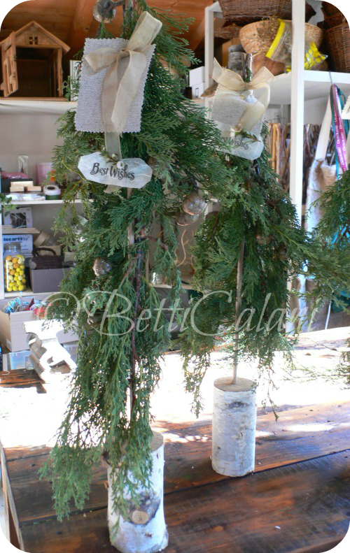 alberello di betulla