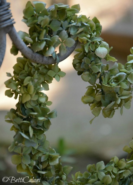 cuore di hydrangea 005T