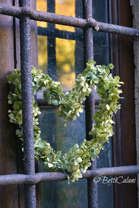 cuore di hydrangea 007