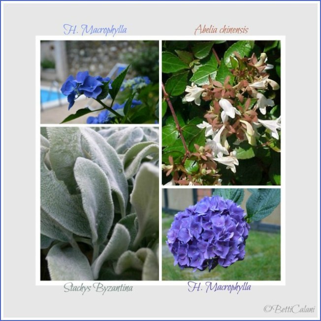 fiori nel contenitore1