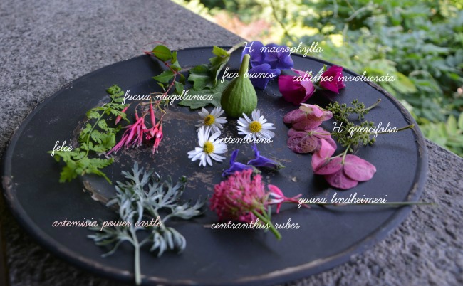 fiori sotto vetro 001tt