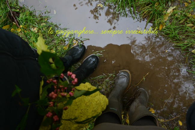 passeggiata nel bosco._0688