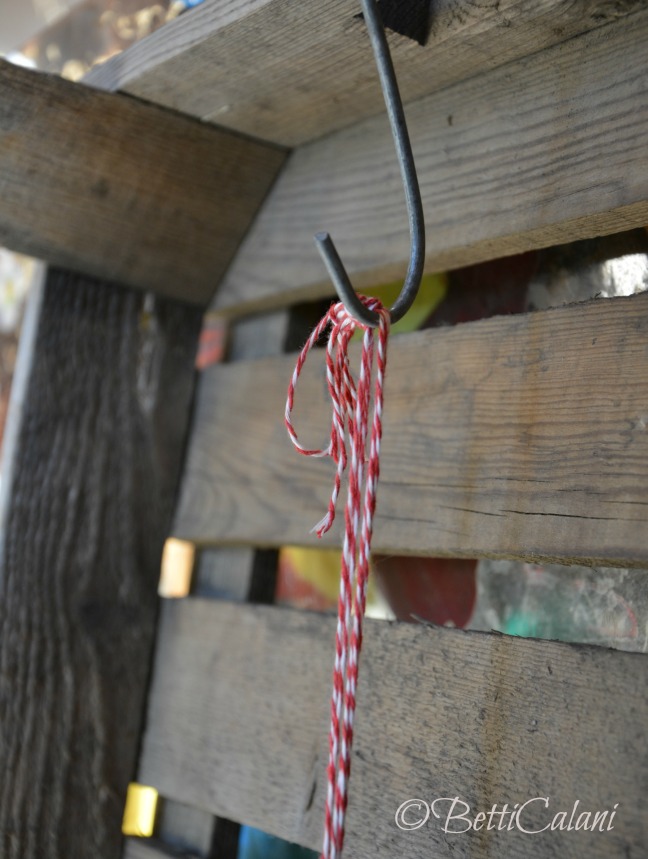 20131129_corona mista_DSC_1170