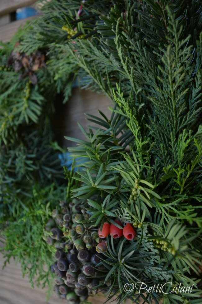 20131129_corona mista_DSC_1172