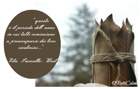 20140110_ciclamino in lattina_3