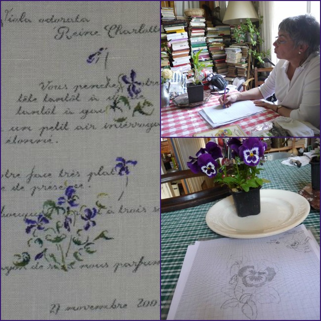 20140207_pansé e violette_