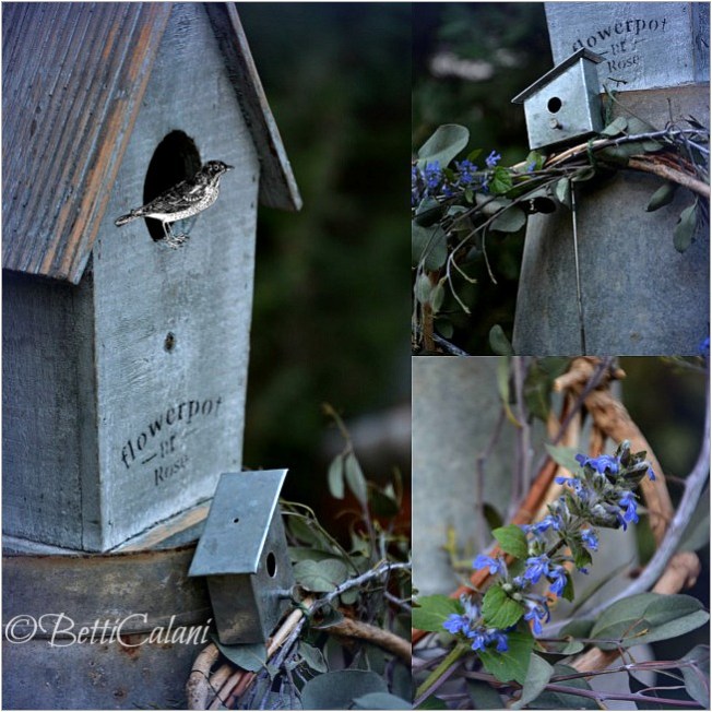 20140414_ghirlanda ton sur ton