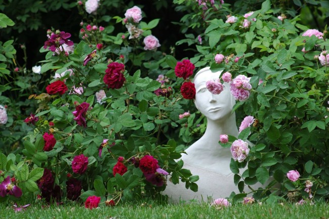 10355645_759999517364758_8999901495673156604_o_