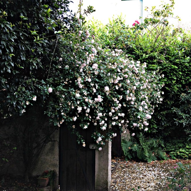 20140528_PombiaIMG_4845 (10)_