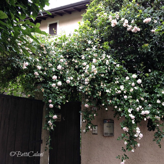 20140528_PombiaIMG_4845 (3)_