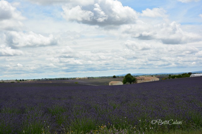 20140625_Provenza_ (164)