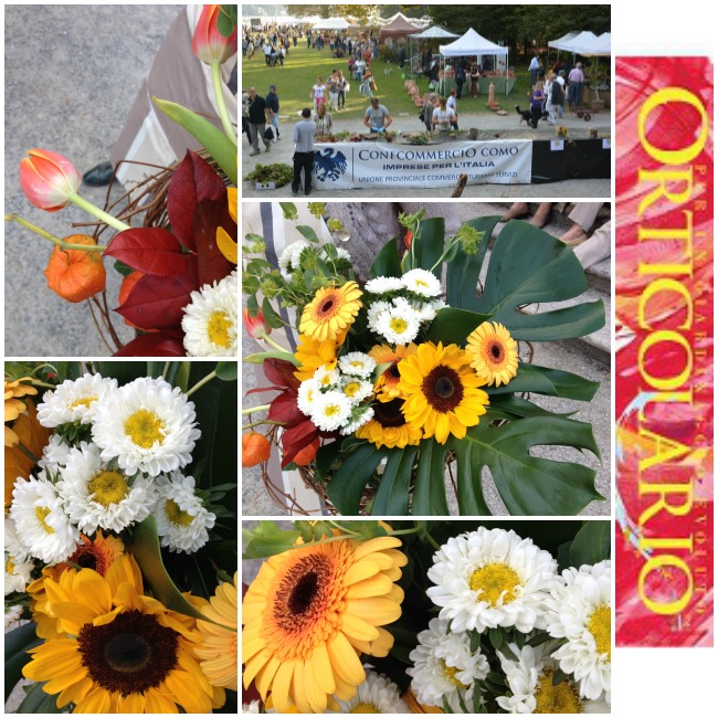 20141006_Orticolario_