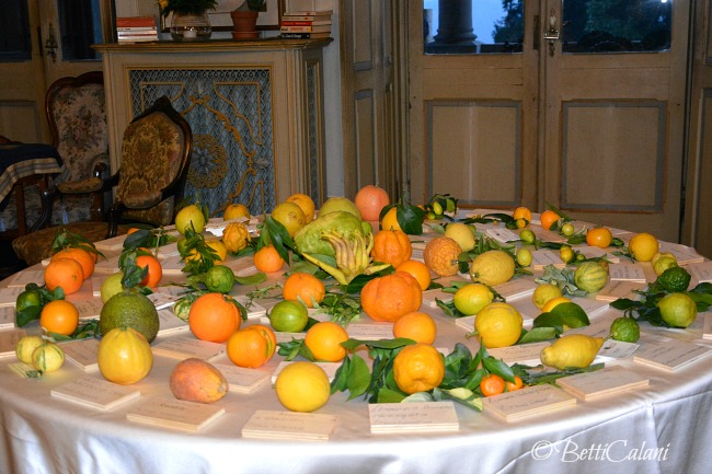 20141121_I frutti_della_terra (10)_