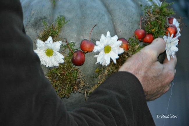 20141121_I frutti_della_terra_zucca(1)