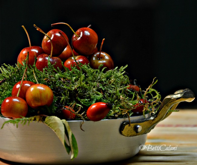 20141121_tegame_Pentole_Agnelli (2)