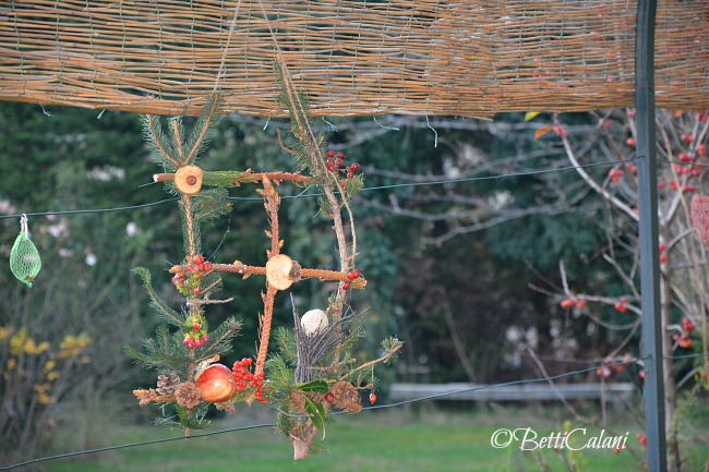 20141211_finestra_per _uccelli (10)_