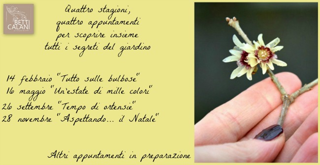 calicantus_appuntamenti