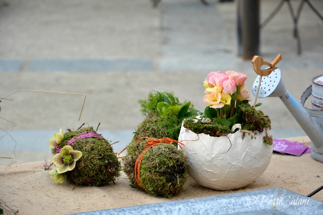 20150228_Susanna_Tavallini (122)_