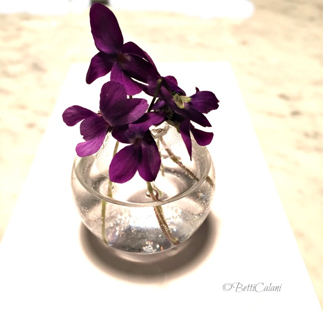 20150316_violette (22)_