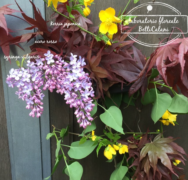 20150414_Syringa_Vulgaris (40)_locandina