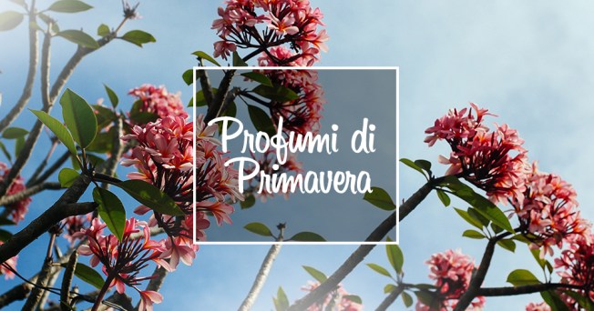 Speciale Dalani Profumi-di-Primavera_bnr