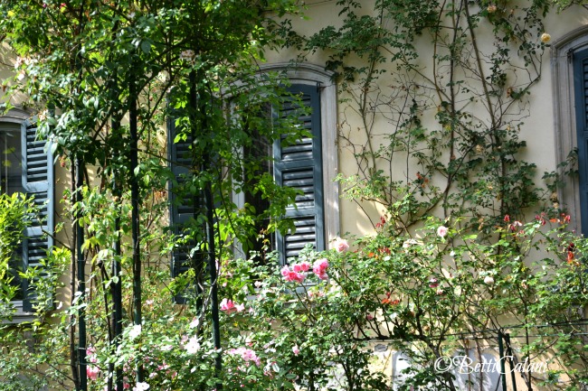 20150521_Monza_presentazione_libro_Le_Rose_Italiane   (39)_