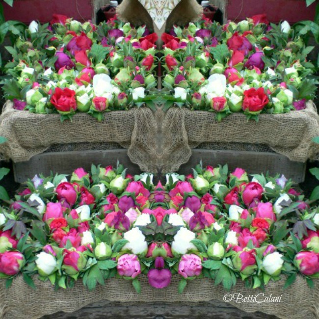 cassetta_con_peonie_