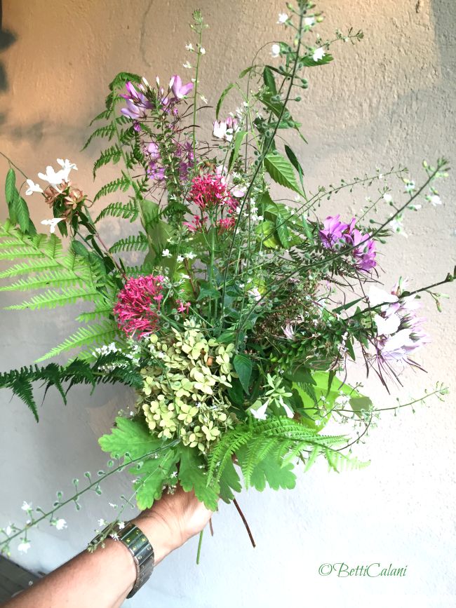 20150805_bouquet_estivo (2)