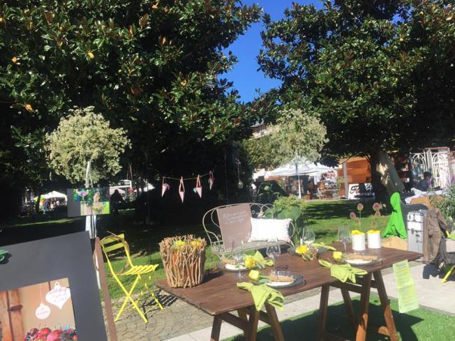 12038035_788115097965872_8356252343033391560_n