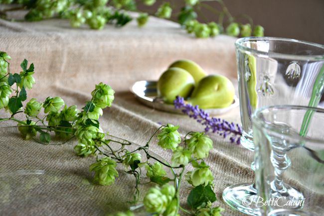 20150908_ghirlanda_di_luppolo (1)