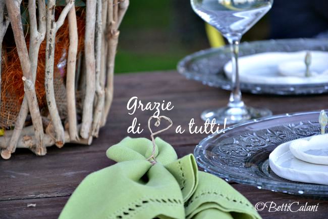 20150919_Trifolia_stand (11)A