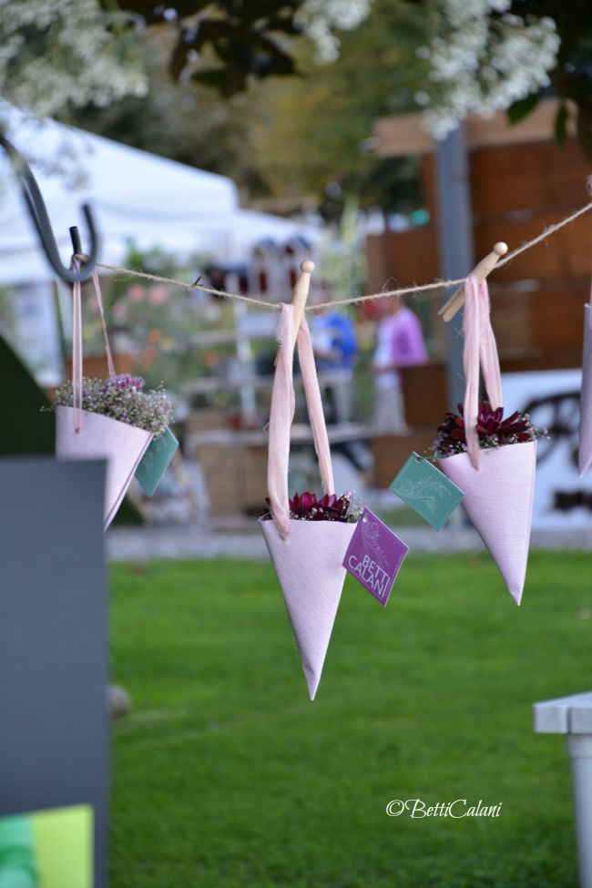 20150919_Trifolia_stand (16)_