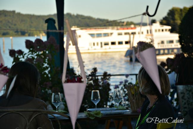 20150919_Trifolia_stand (18)_