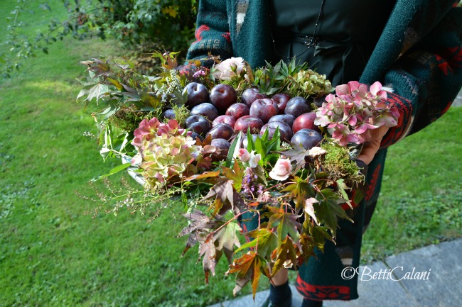 20151016_mise_en_place_d'autunno