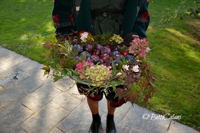 20151016_mise_en_place_d'autunno_2