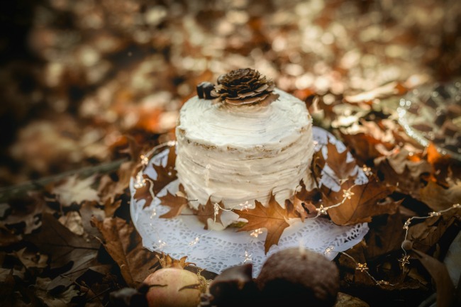 Winter wedding shooting 47