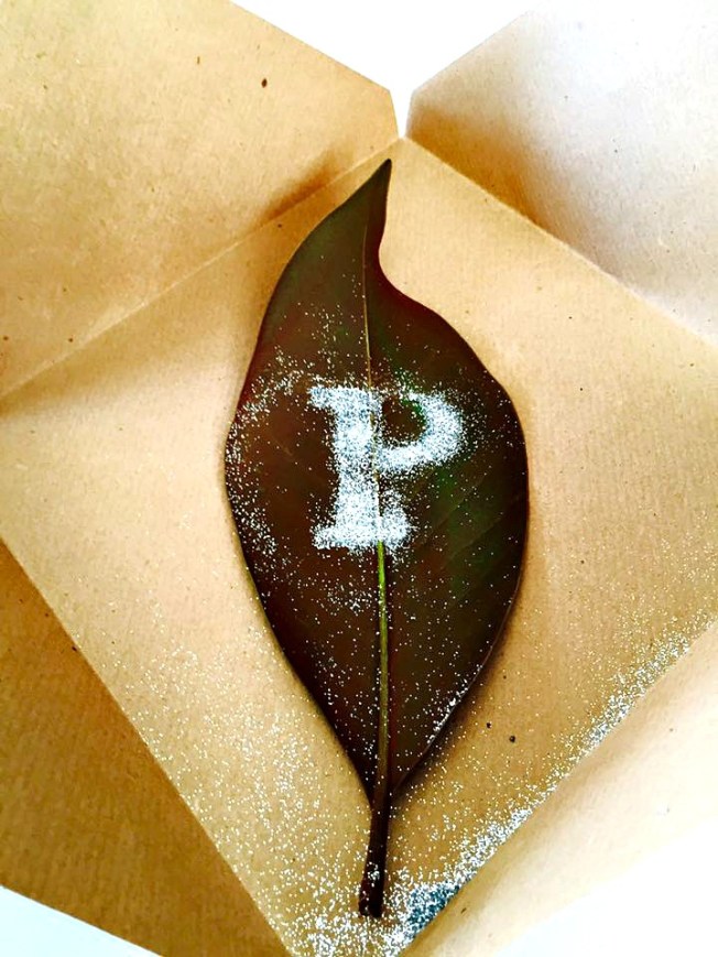 12313739_10208352916090449_8737148292537463905_n