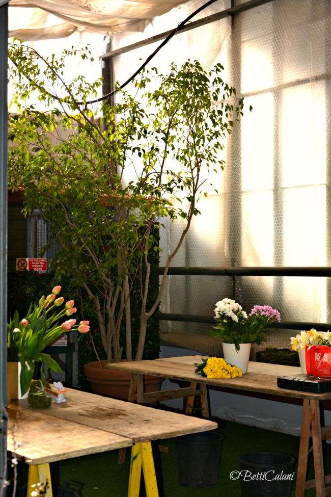 20160319_workshop_vivaio_Spertini (2)