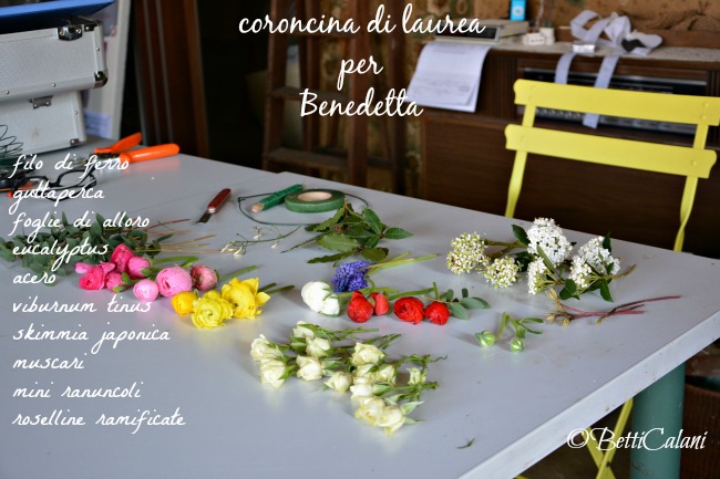 20160326_coroncina_laurea_Benedetta (15)_1