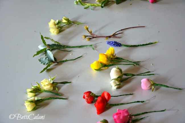 20160326_coroncina_laurea_Benedetta (28)_1