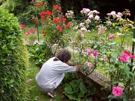 33178342_intervista-alla-scrittrice-adele-cavalli-autrice-di-scrittrici-in-giardino-0