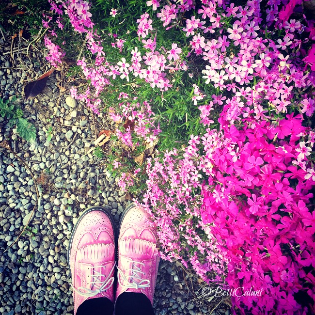 20150421_fioriture_di_aprile (3)_1