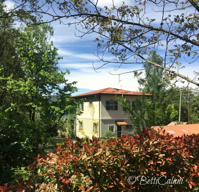 20160425_lago_di_Comabbio (6)_