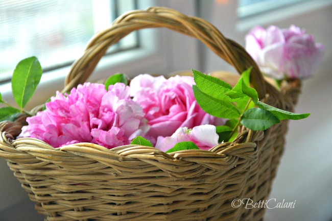 20160529_retroreal_Chieri (58)