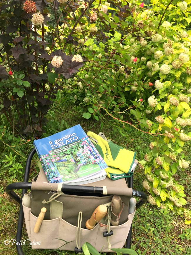 il_giardino_svelato