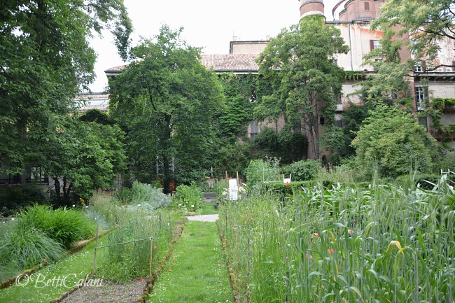 20160607_orto_botanico_brera_Wape (26)A