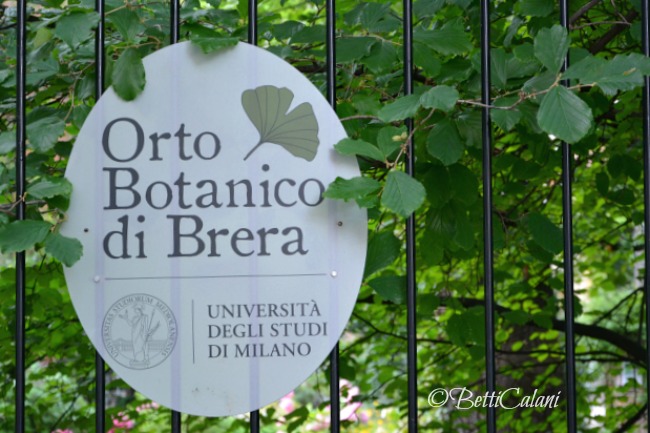 20160607_orto_botanico_brera_Wape (37)A