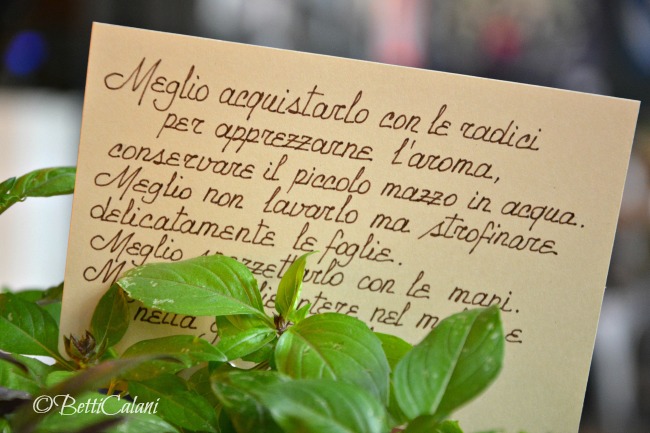 20160719_DesinoLento (12)_