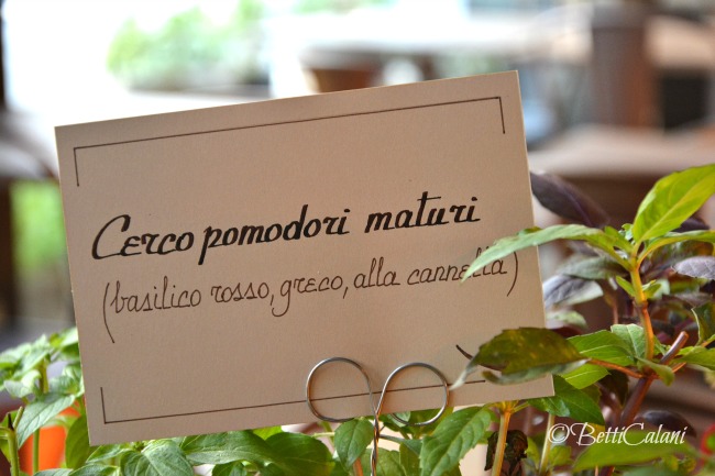 20160719_DesinoLento (8)_